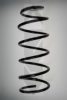 SPIDAN 56098 Coil Spring
